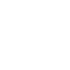bolt icon